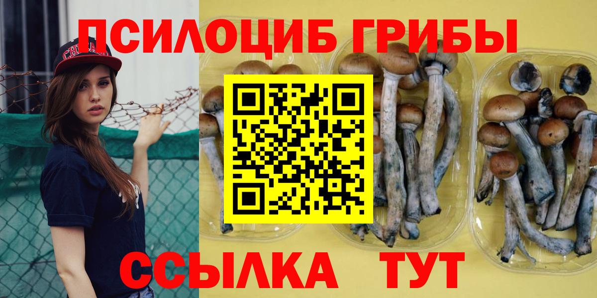 Галлюциногенные грибы Cubensis  Вход с VPN  Тольятти 