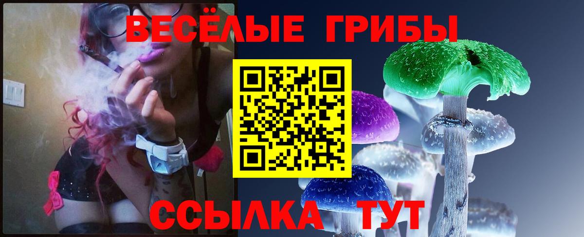 Галлюциногенные грибы MAGIC MUSHROOMS Тольятти